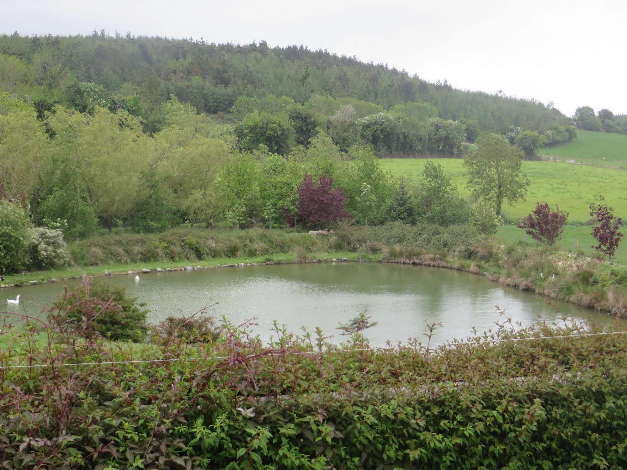 Dawn House B&B Kilmeaden ภายนอก รูปภาพ